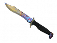 ★ Bowie Knife Case Hardened